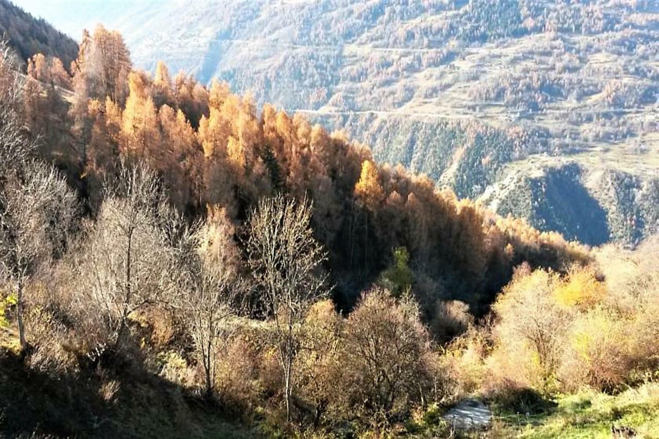 La Chaumiere D'Herens Vernamiège 外观 照片